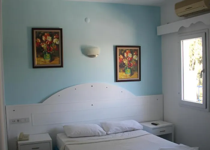 Hotel Bodrum Moonlight *