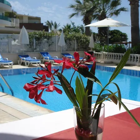 Bodrum Moonlight טורגוטריס