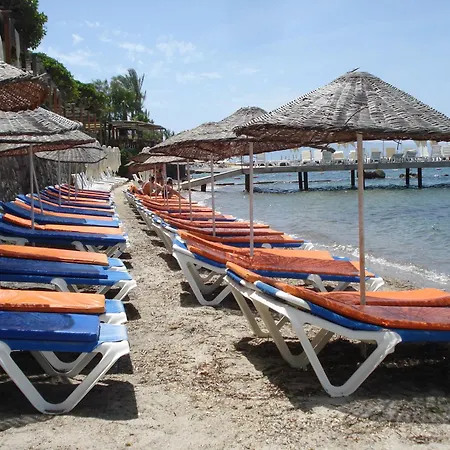 מלון Bodrum Moonlight