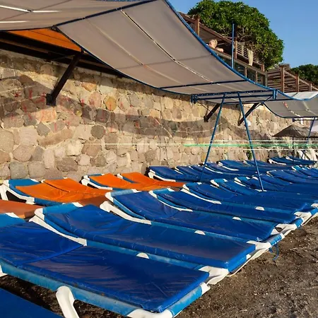 ホテル Bodrum Moonlight トゥルグトレイス